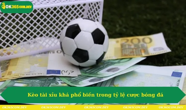 Kèo tài xỉu khá phổ biến trong tỷ lệ cược bóng đá