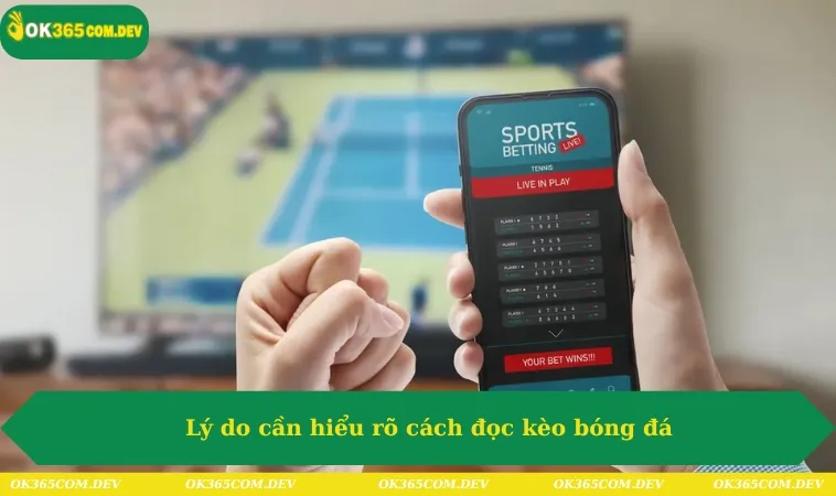 Lý do người chơi cần hiểu rõ cách đọc kèo bóng đá